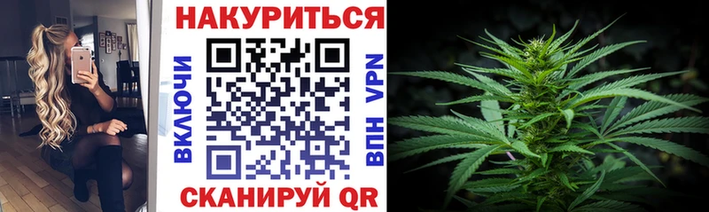 Купить закладки  Сунжа  Канабис сатива 